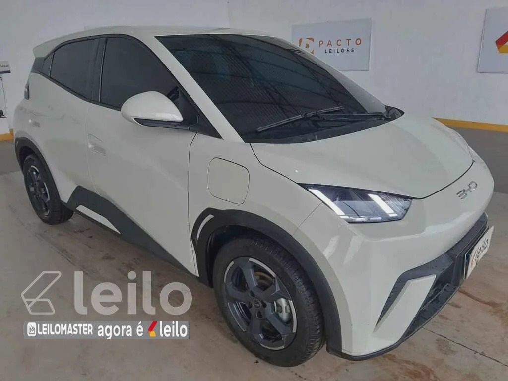 ​BYD DOLPHIN MINI GS EV (4P) ANO 2025
